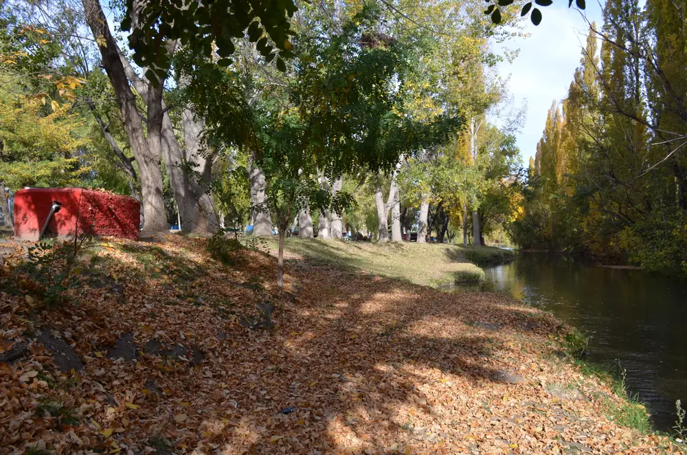 Balneario Municipal de Senillosa, a la orilla del río Limay