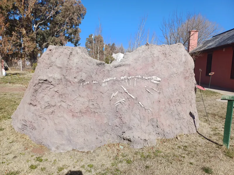 Réplica de fósiles