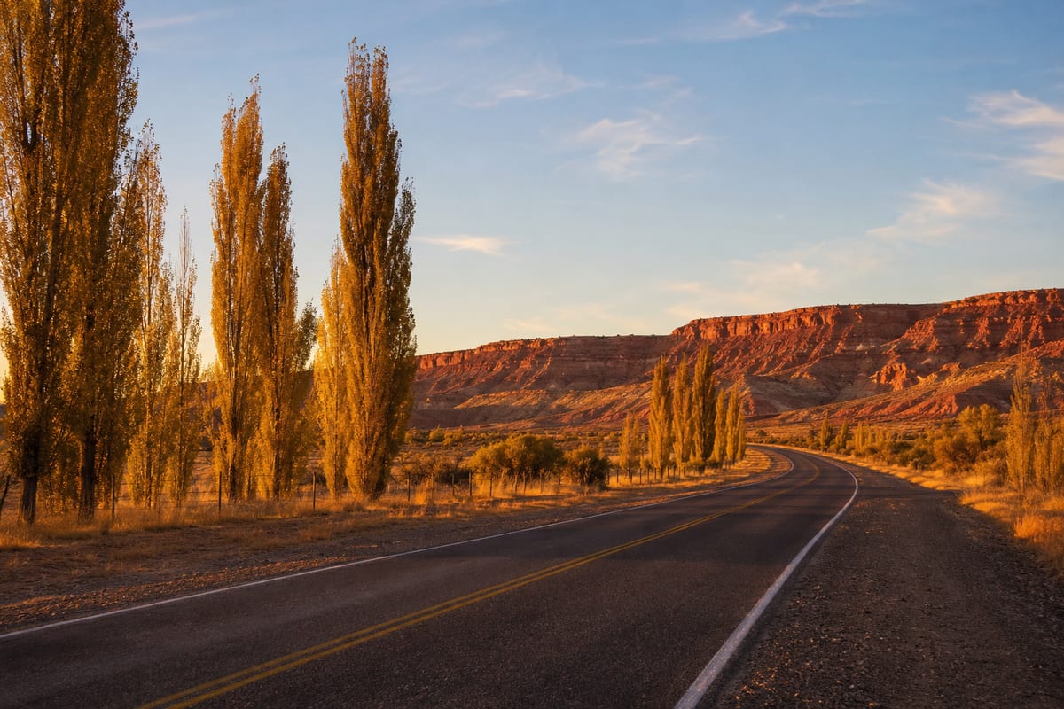 Ruta hacia la barda patagónica al atardecer, camino a Senillosa